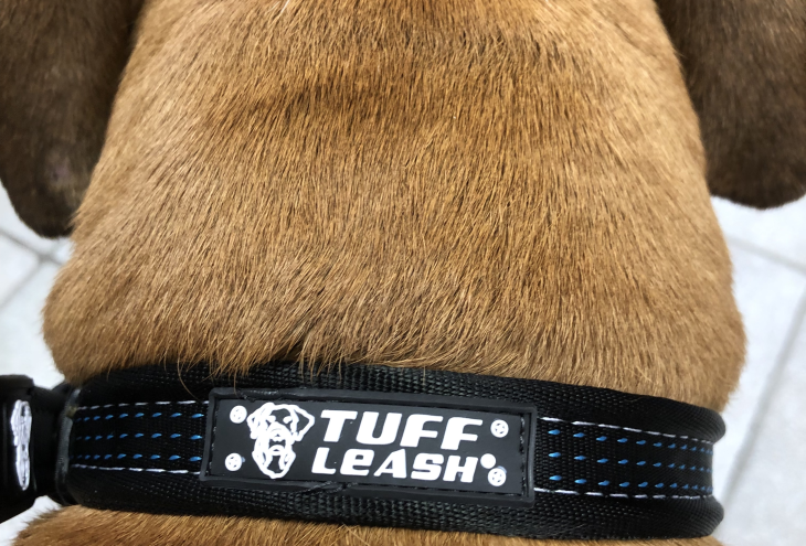 Tuff Pupper Classic Heavy Duty Dog Collar | 10x Stronger Than Leather |  100% Waterproof & Odor Proof Dog Collar | Tough Rust-Proof All Metal  Hardware